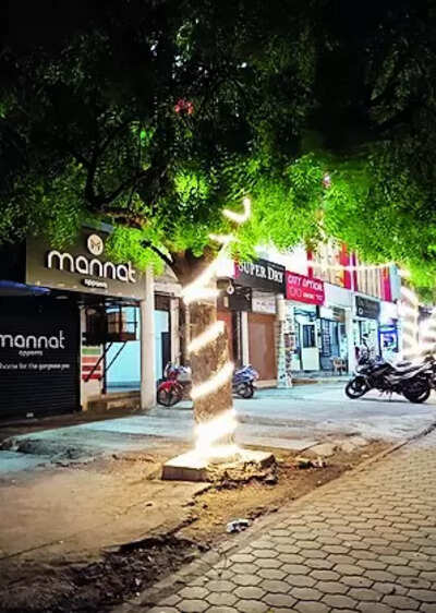 Nature lovers express concern over rising light pollution in JSR