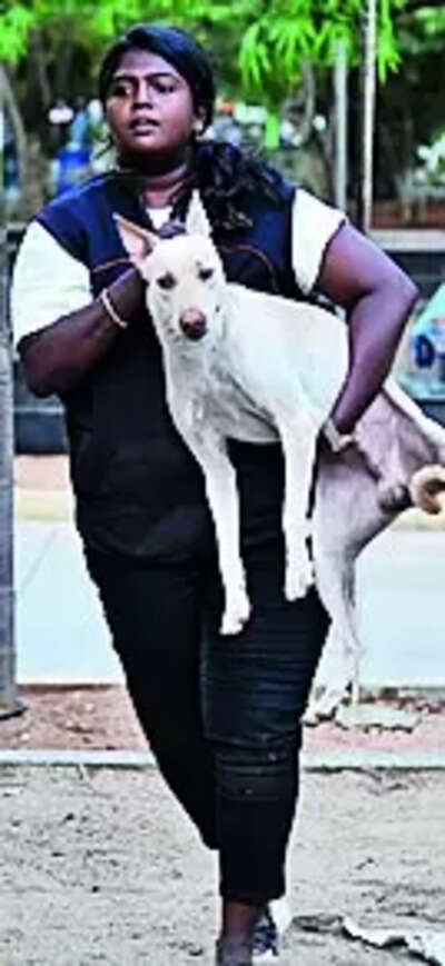 This lady tackles strays with love