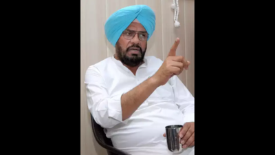 'Future at stake': Punjab minister writes to India, Canada diplomats over deportation