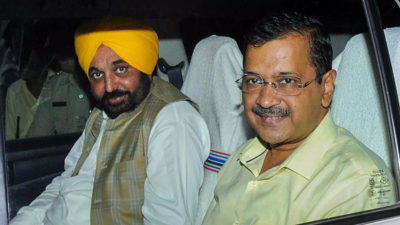 One lakh people expected to join 'maha rally' against Centre's ordinance, claims Aap