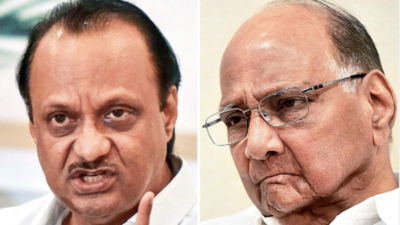 NCP Reshuffle: Sharad Pawar Explains Why Ajit Pawar Was Not Given Any ...