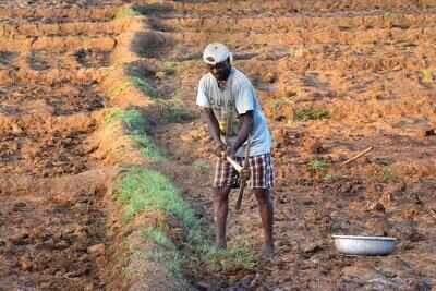 In Goa, Climate Change Is Now Real