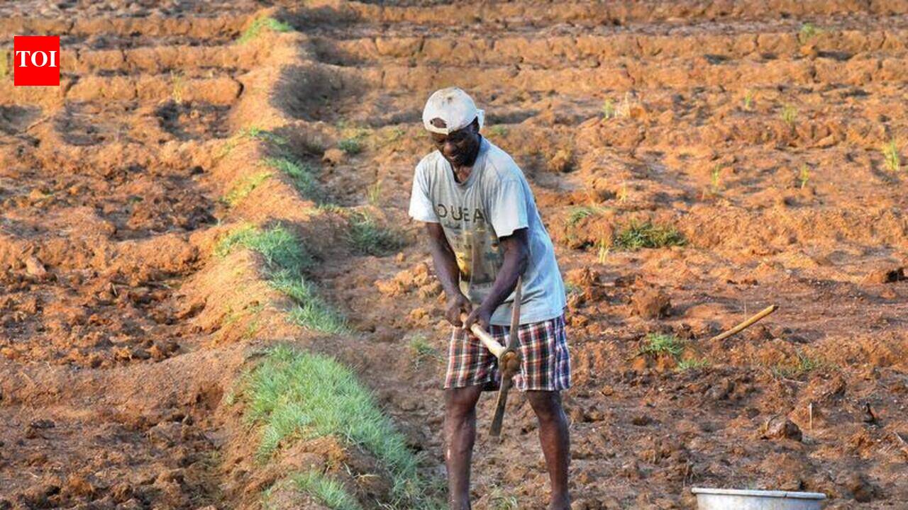 In Goa, Climate Change Is Now Real | Goa News - The Times of India