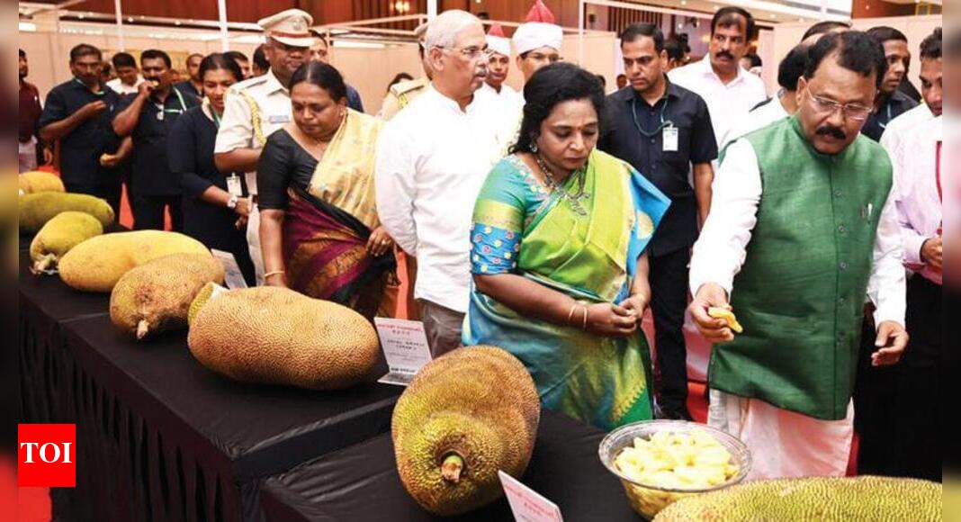 ‘Research can improve shelf life of jackfruit’ Goa News Times of India