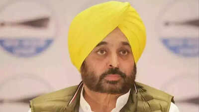 Punjab cabinet nod to regularise services of over 14,239 teachers