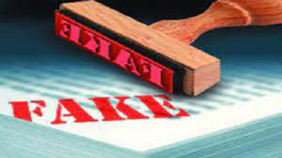 One held for entering airport on fake ticket