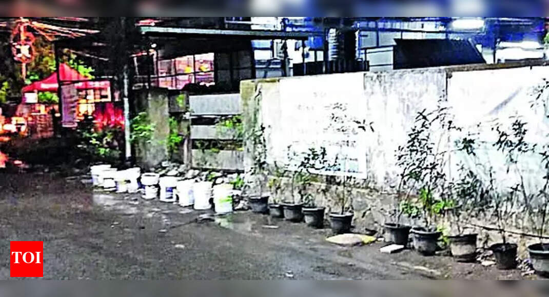 A Flowery Solution To Illegal Waste Dumping Kochi News Times of India