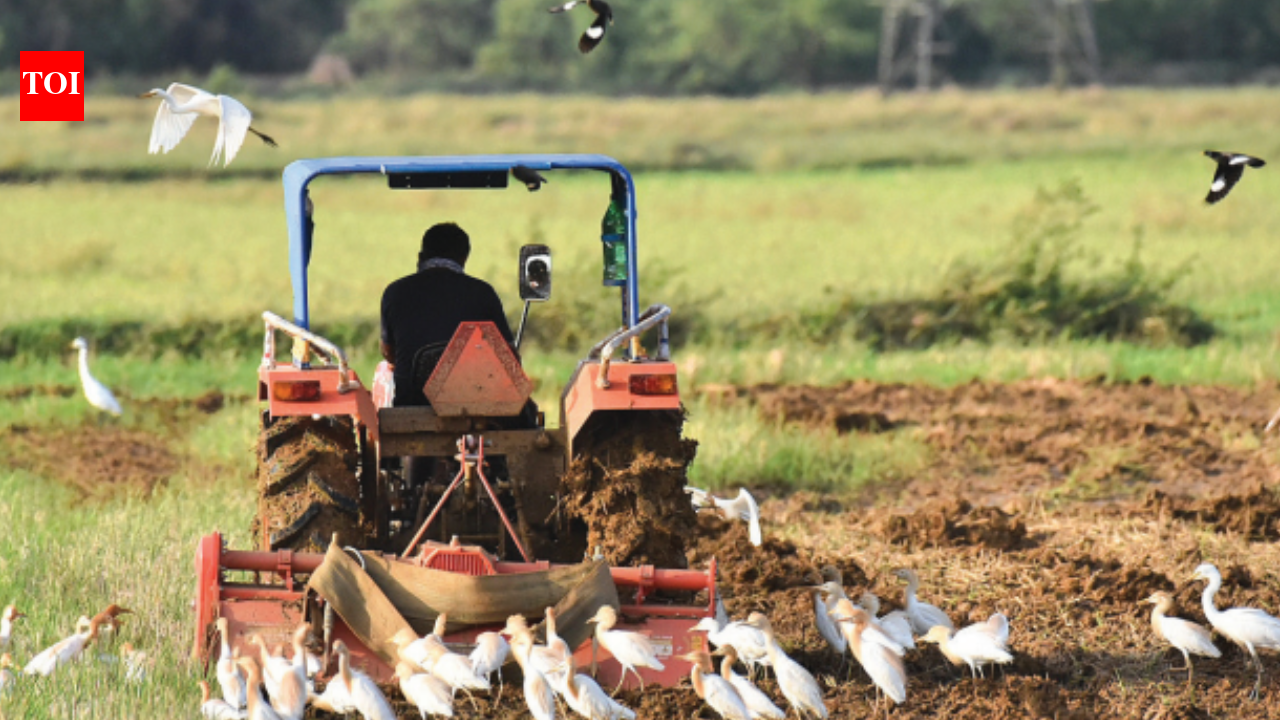 In goa, climate change is now real | Goa News - The Times of India