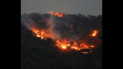 Forest fires in Goa could have been caused by humans, says dept report