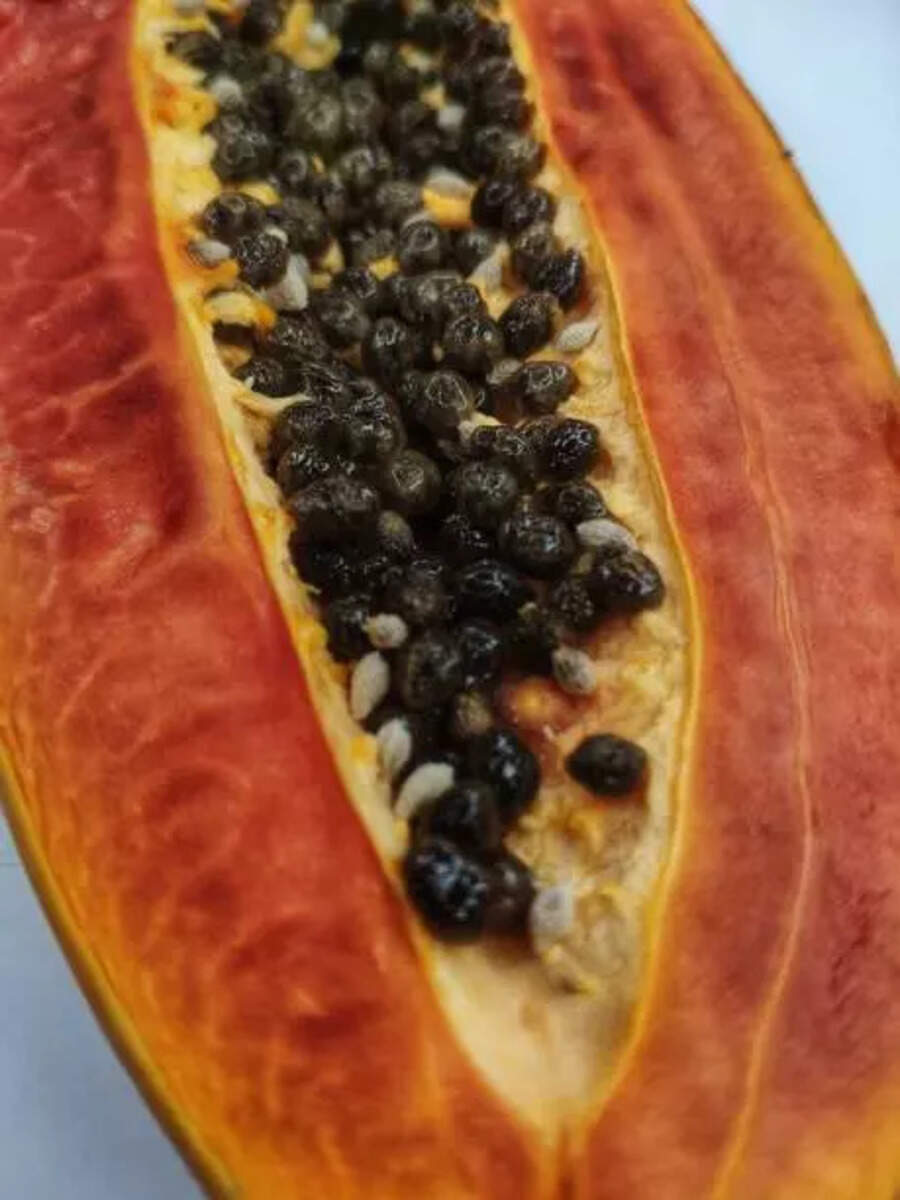 7 Seeds That Could Kill You If Eaten In Excess Times Now