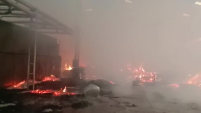 Fire breaks out in plywood factory in west Delhi's Kirti Nagar, no injuries