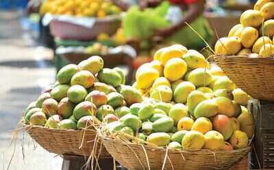 Mango growers blame extreme weather for poor season this year