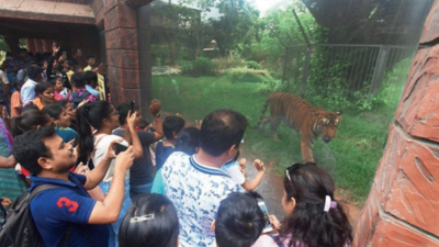 At 4.5 lakh, Byculla zoo breaks visitor footfall record in May