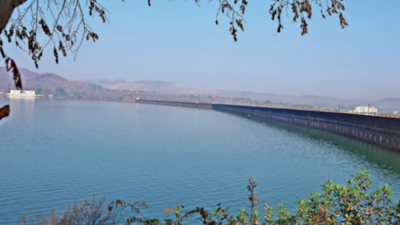 Monsoon arrives in Maharashtra, Pune to get light showers till June 17