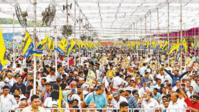 Refrain in Ramlila rally: Ordinance denies Delhi govt free hand to work