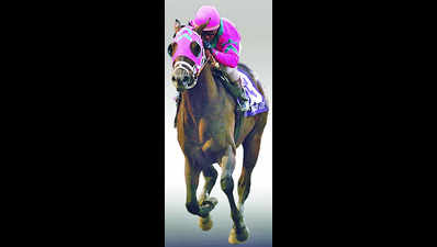 Northern Lights clinches feature