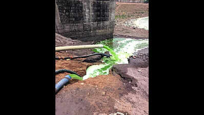 Day after TOI report, cleaning drive begins at 100-yr-old lake