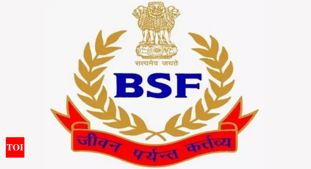 Nitin Agarwal: 1989 batch IPS officer Nitin Agarwal appointed BSF DG ...