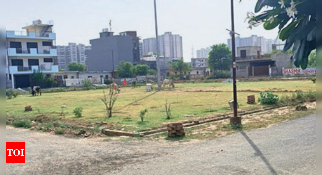 broken-pavements-water-pipes-why-1-100-families-are-worried-noida