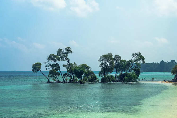 Corbyn's Cove Beach