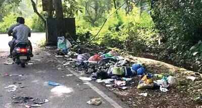 Govt to set up 45 manned waste stations to nix littering