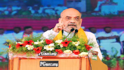 Tap border villagers to gather intel: Amit Shah