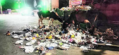 Waste collection hit as JMC garage workers strike work