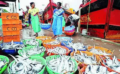 Fish prices double due to monsoon ban