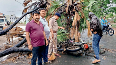 Biparjoy likely to make landfall near jakhau, 3 dead