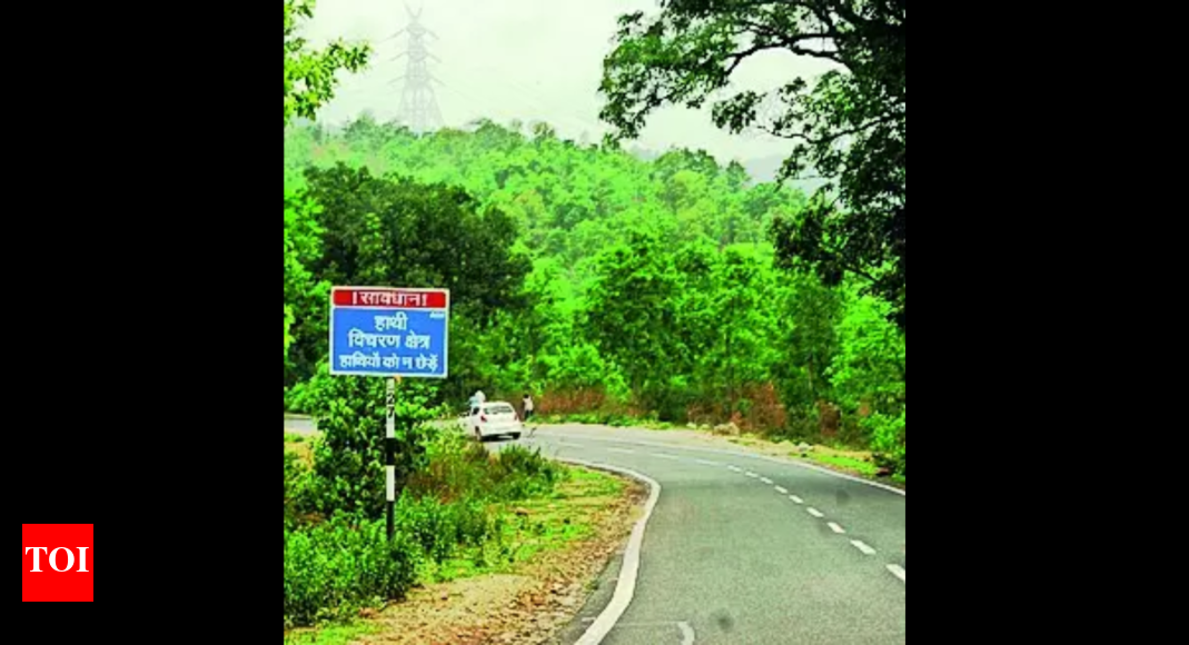 Wildlife Group Starts Identifying Jumbo Corridors | Ranchi News - Vimarsana News