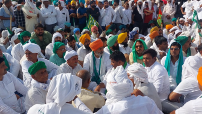 Farmers end protest in Kurukshetra's Pipli after assurance from Haryana govt over sunflower MSP