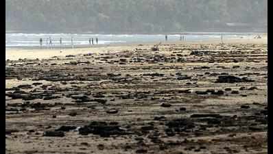 In a first, debris washing up on Goa’s shores to be studied
