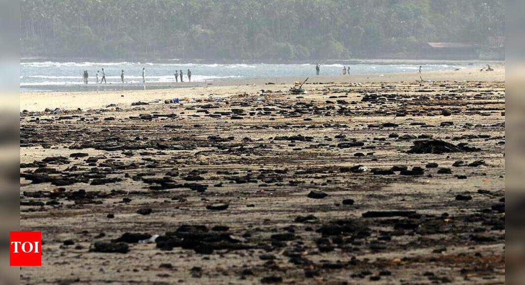 In a first, debris washing up on Goa’s shores to be studied | Goa News ...