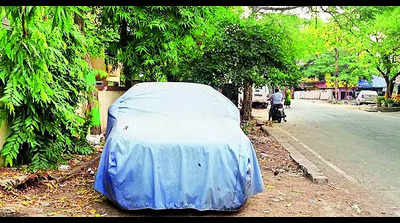 Man uproots sapling to park car in Chennai's Anna Nagar