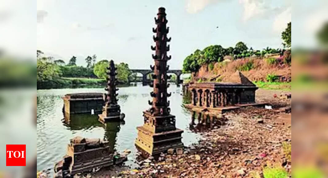 Kolhapur Irrigation Dept Imposes Ban On Lifting Water For Agriculture