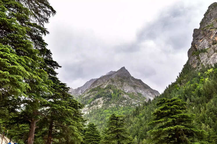 Delhi - Gangotri (525 km)