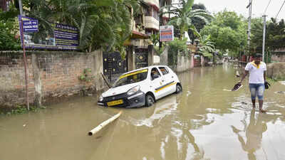 Northeastern states hit by rain; 21,000 people affected in first wave of Assam floods