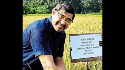 Pak farmer contacts BHU scientist for advance variety of paddy seeds