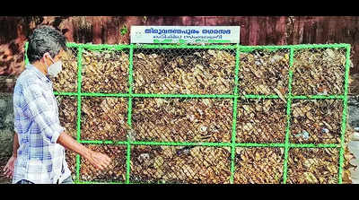 Corp scouts for agencies to empty dry leaf collection bins