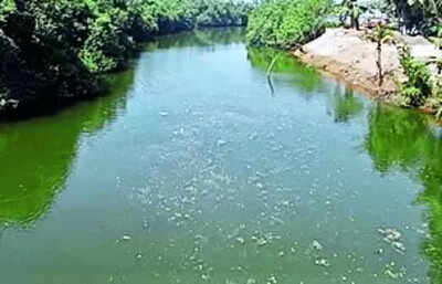 Miniratna To Sponsor Rejuvenation Efforts | Mangaluru News - Times of India