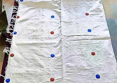 Udupi sari for FM’s daughter underscores product’s revival