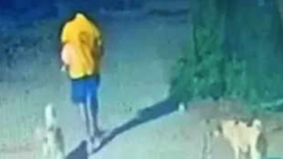 Man throws two stray dogs off balcony; held