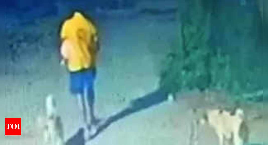 Man Throws Two Stray Dogs Off Balcony; Held | Gurgaon News - Times Of India