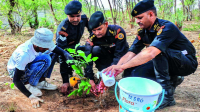 3L saplings by Aug-Sept: NSG’s plan to revive Aravalis on its Manesar campus