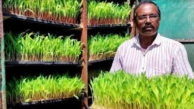 Why this Tamil Nadu farmer grows maize in his cupboard
