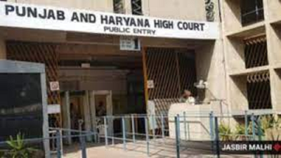 Amritpal's 3 aides move HC against 'illegal' detention