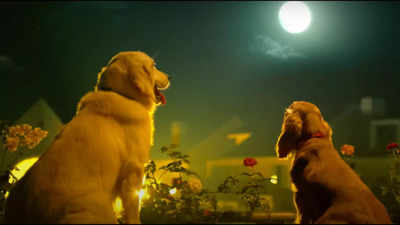 ‘Valatty: Tale of Tails’ trailer: A-listers from M-Town lend voice to the dogs
