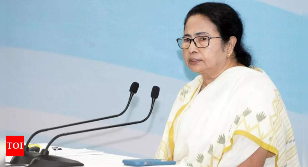 Mamata Banerjee Blames Opposition For Violence In Panchayat Poll ...