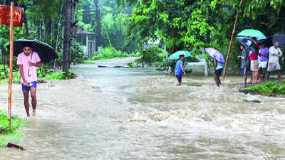 आसाममा बाढीका कारण २५ गाउँका २९ हजार मानिस प्रभावित