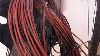 Pkl MC snips illegal overhead fibre cables